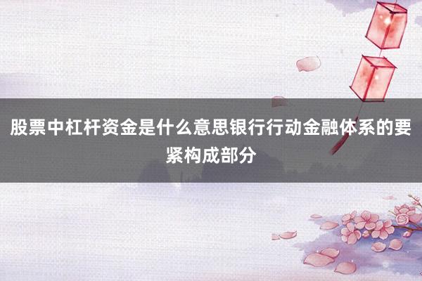 股票中杠杆资金是什么意思银行行动金融体系的要紧构成部分