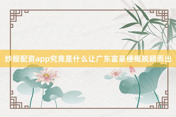 炒股配资app究竟是什么让广东富豪梗概脱颖而出